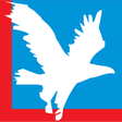 Radikal icon