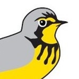 Birds Can... icon