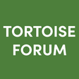 Tortoise ... icon