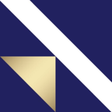 VectorVest icon