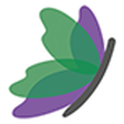 Blumigo icon