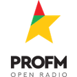 ProFM icon