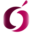 Digital d... icon
