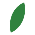 Zielony O... icon