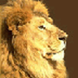 NarniaWeb... icon
