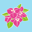 宮崎ブーゲンビリア空港 icon