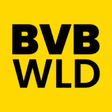 BVBWLD – ... icon