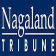 Nagaland ... icon