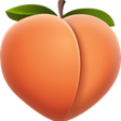 Tanahub icon