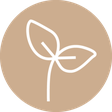 plantbaes icon