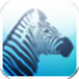 MSVPortal icon