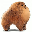 Pomerania... icon