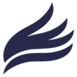 lvsl.fr –... icon