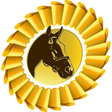 reitturni... icon