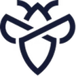 Intigriti icon