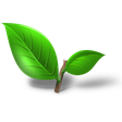 TeaForum.org icon