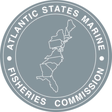 Atlantic ... icon
