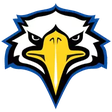 MSU Eagle... icon
