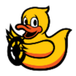 Duckietown icon