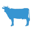 hookii icon