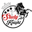 Study Knight Coaching Academy: Top-Ranked in Himachal with 150+ Success Stories icon