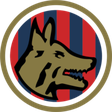 Tifo Cosenza icon