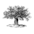 Philanthropy Daily icon