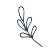 Homemade ... icon