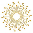 SVRI icon