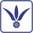 NAN YANG ... icon