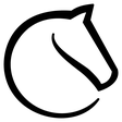 Lichess u... icon
