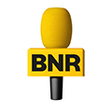 bnr - Home icon