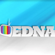 Edna.cz -... icon