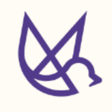 DoveRunner icon