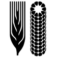 CIMMYT icon