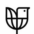 Graphic D... icon