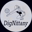 DigNittan... icon