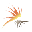 Papua New... icon