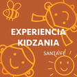 Experienc... icon