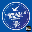 Seagulls ... icon