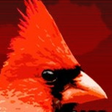 CC Podcas... icon