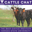 Cattle Chat icon