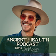Ancient H... icon