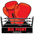 Big Fight... icon