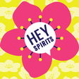 HEY SPIRITS icon