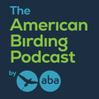 The Ameri... icon