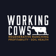 Working C... icon