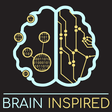 Brain Ins... icon