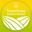 Tramlines icon