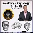 Anatomy a... icon